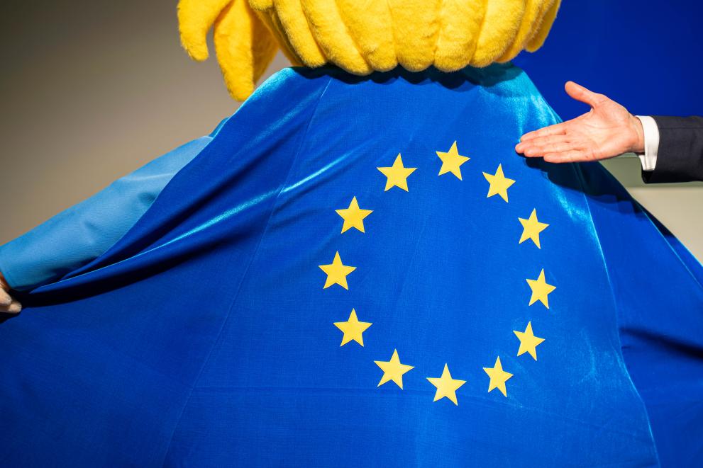 EU Cap Detail