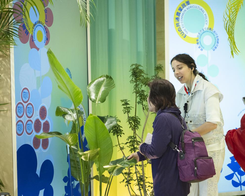 Visitors testing features of the EU Pavilion