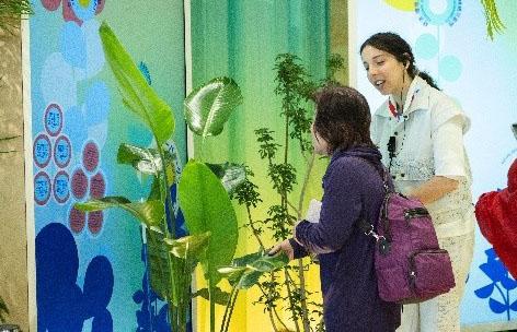 Talking Plants